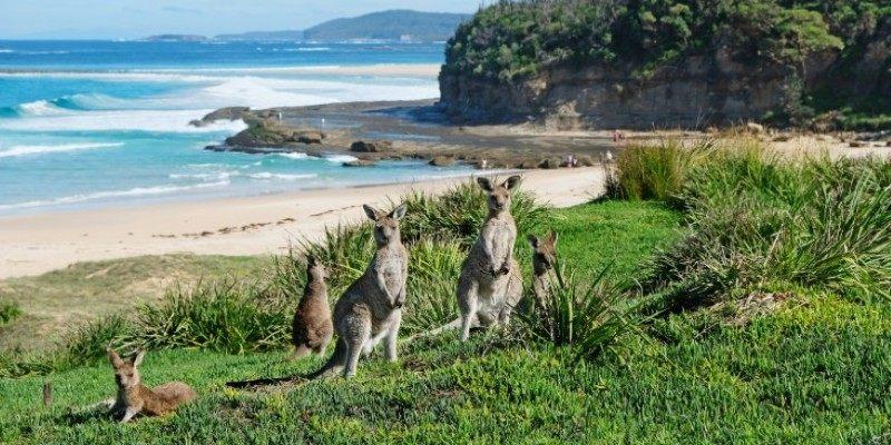 Where to Find Australia’s Safest and Cleanest Coastal Spots